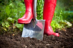 Red Boots Digging With Garden Spade Karen Ba